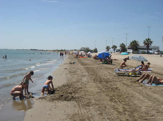 Imagen14
